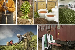 Sri Lanka : Tea Factory